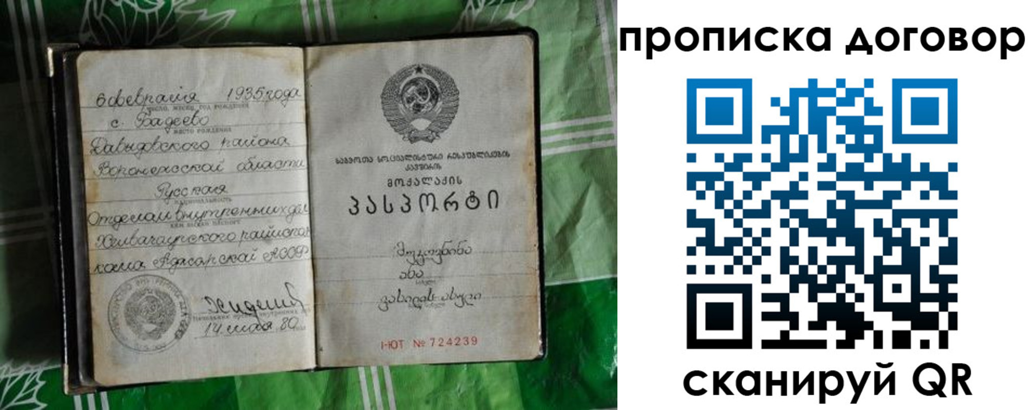 прописка в Гусеве